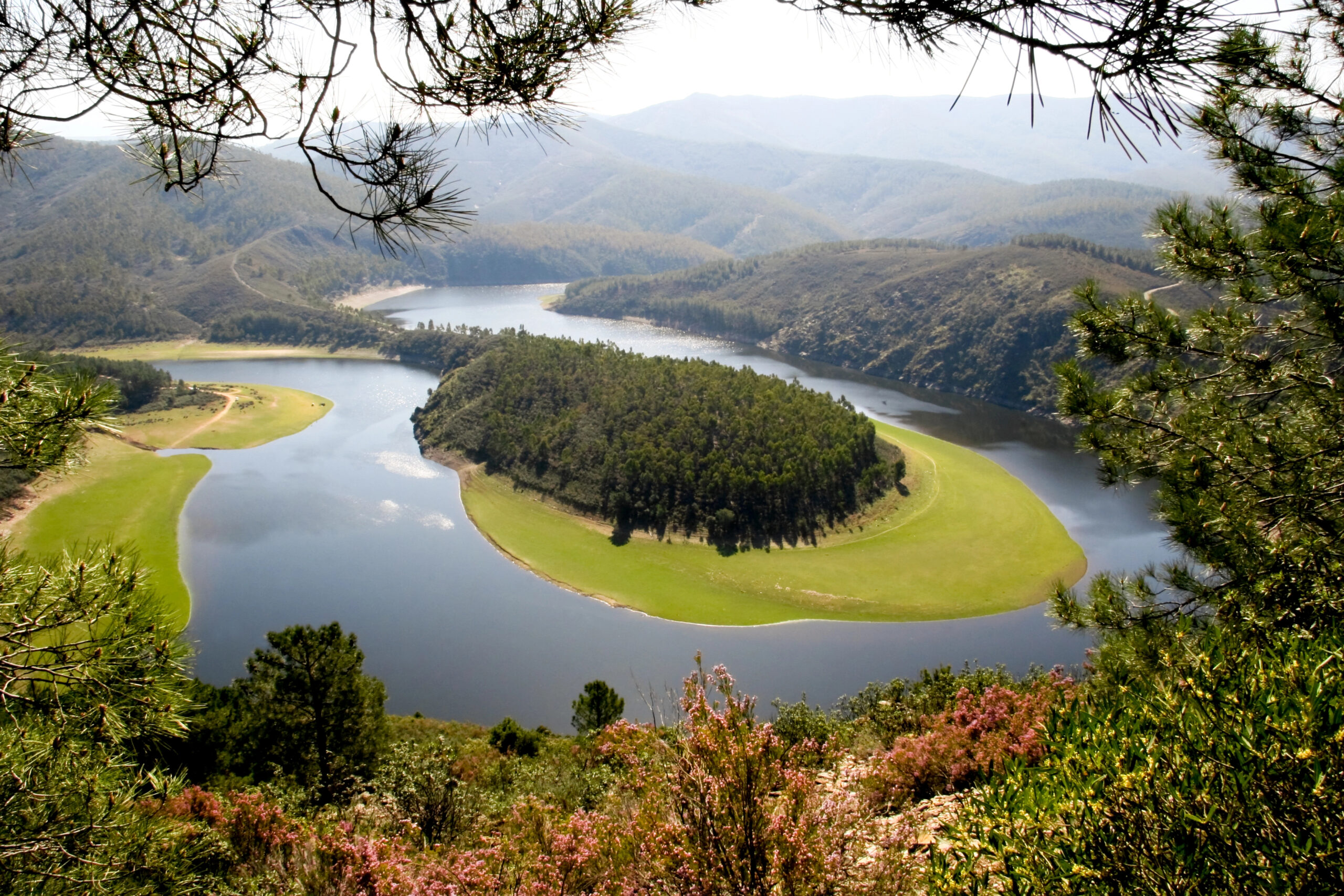 meandro del río alagon