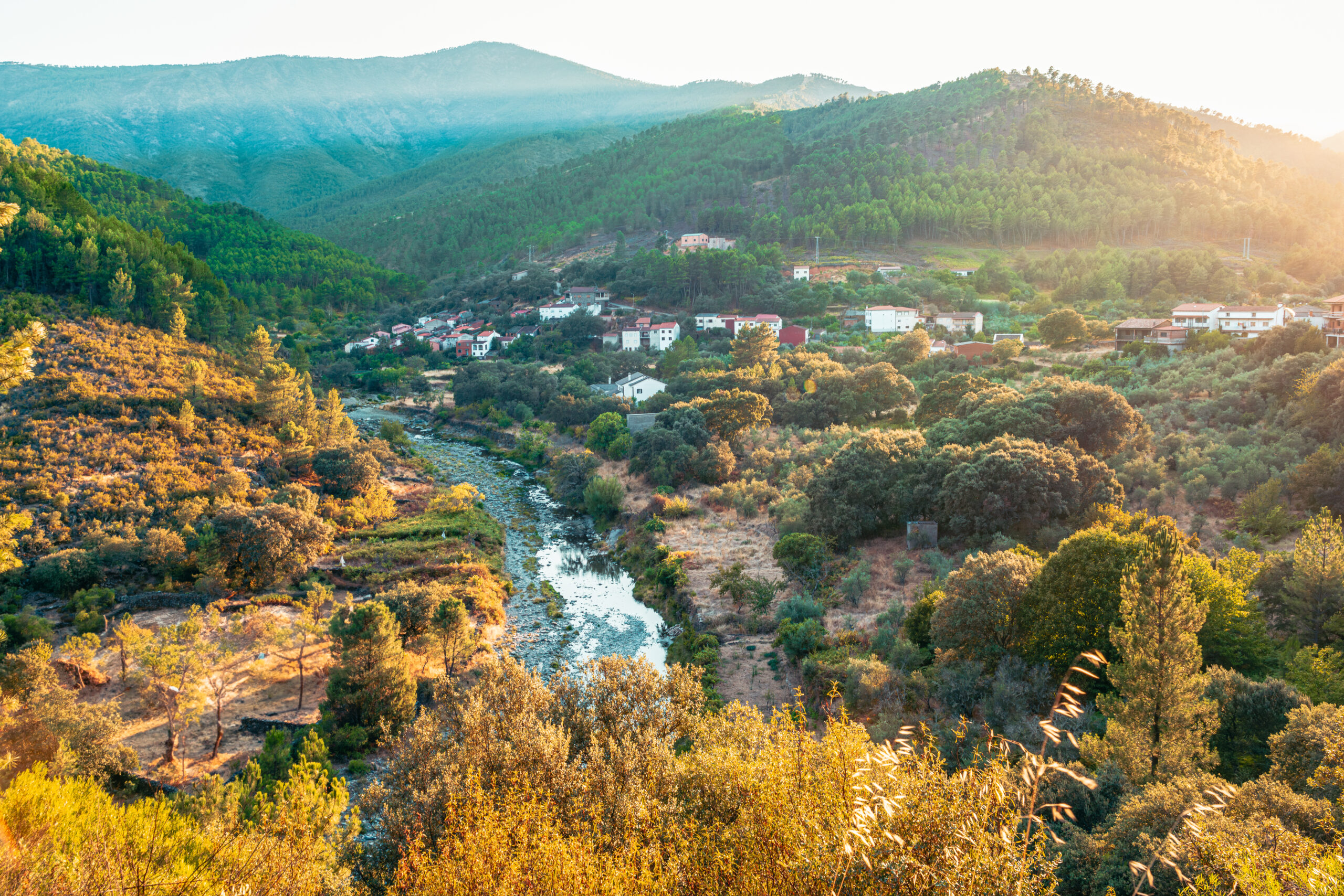 cerezal en cáceres