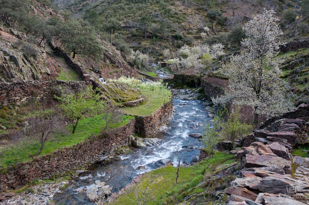 Ruta de Alfonso XIII